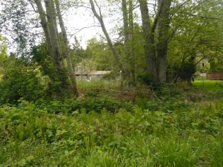Picture of Point Roberts Parcel Number 405311-033520